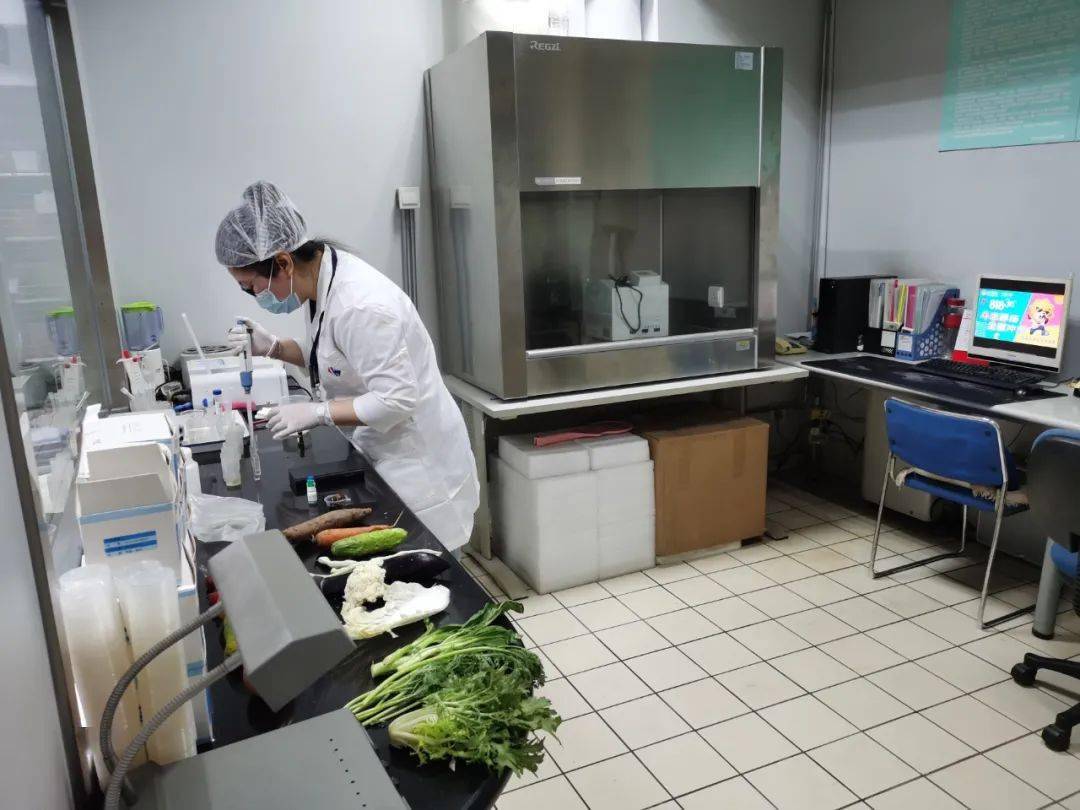 巴东食品检测实验室装修方案
